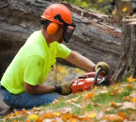 tree services Millersport